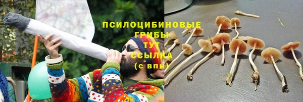 гидропоника Арсеньев