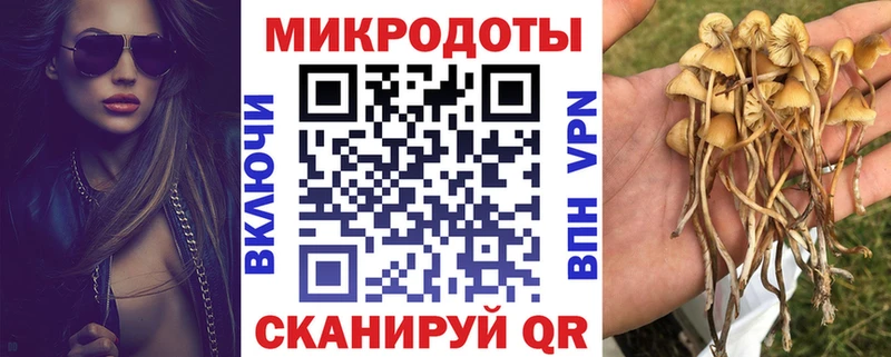 Псилоцибиновые грибы ЛСД  Сенгилей 